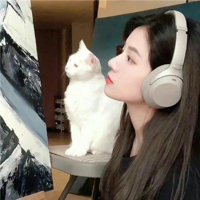 波诺：救赎之路